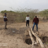 أبين .. مدير الوحدة التنفيذية ومؤسسة جنى لتنمية الأسرة يزوران الأرضية الخاصة بنقل النازحين