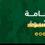 اللجنة العسكرية لِتقصي الحقائق تهيب” بأبناء شبوة؛ داعيةً أقلامها الحُرة أن يكونوا عاملًا مُساندًا ومُساهمًا في تثبيت صف الأمن