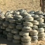 الفرق الهندسية التابعة لألوية العمالقة الجنوبية تتلف مئات الألغام التي زرعتها ميليشيا الحوثي في شبوة
