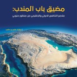 دراسة تشدد على أهمية تأمين القوات الجنوبية لمضيق باب المندب