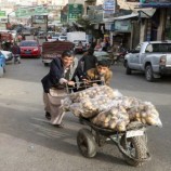 جبايات حوثية بمسميات قديمة ومبتكرة تستبق عيد الأضحى