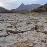 تقرير دولي: ندرة المياه في اليمن أثرت على زراعة المحاصيل