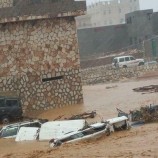   <br>تقرير أممي: وفاة وإصابة 510 يمني وتضرر أكثر من 18 ألف أسرة جراء إعصار “تيج”