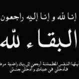 الحالمي يُعزَّي في وفاة محافظ لحج السابق محسن علي النقيب