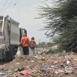 عمال صندوق نظافة والتحسين تبن ينفذون حملة نظافة بمناطق زايدة والشقعة والعند بلحج