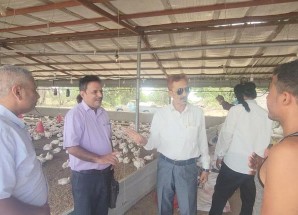 لجنة من وزارة الصناعة والتجارة تنفذ نزولا لمزارع الدواجن في محافظة لحج