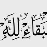 الشيخ أمين العتش يُعزي الأخ محمد عماد المشألي العلوي في وفاة طفلته