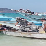 حملة ترقيم قوارب الصيادين في سواحل رضوم