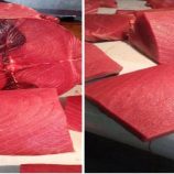 إستقرار متذبذب لأسعار الأسماك اليوم الخميس 17 ابريل 2025م في العاصمة عدن