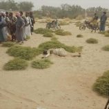 عثر مواطنون من أبناء القبائل على جثة فتى يبلغ من العمر 15 عامًا، مقتولًا طعنًا في منطقة نائية بوادي مذاب بمديرية المتون بمحافظة الجوف الخاضعة لسيطرة الحوثيين، وذلك في جريمة هزت المحافظة.