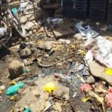 شكوى من سوق الأسماك في زنجبار.. يشهد وضعا بيئيا وصحيا متدهورا