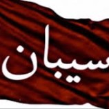 قبائل سيبان تعلن رفضها القاطع للمشاركة في لقاء هضبة حضرموت وتؤكد أهمية الحفاظ على أمن واستقرار المحافظة