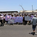 عمال وموظفو المؤسسة العامة للطرق والجسور بعدن ينفذون وقفة احتجاجية للمطالبة بإنقاذ مؤسستهم