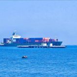 وصول باخرة فرنسية لميناء عدن في مؤشر لانتعاش الحركة التجارية