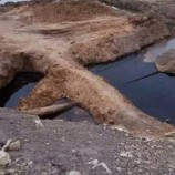 شبوة.. السلطة المحلية بمديرية الروضة تطالب بوقف كارثة التلوث النفطي وتحمّل شركة الاستثمارات مسؤولية الإهمال