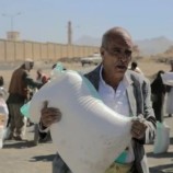 الأمم المتحدة تدعو للتحرك الجاد لمكافحة الجوع وتقديم الدعم الغذائي لليمن