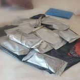 خفر السواحل بحضرموت يحبط تهريب 10 كيلو حشيش