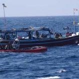 وصول دفعة جديدة من المهاجرين الأفارقة إلى سواحل شبوة