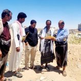 بدعم إماراتي.. بدء أعمال إنشاء مبنى الطوارئ في مستشفى محمد بن زايد بشبوة