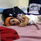 برنامج الأغذية العالمي: 50% من الأسر باليمن تواجه شبح الجوع