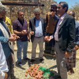 وكيلَا وزارة الزراعة والري يزوران مديرية قلنسية وعددًا من المناطق الزراعية بسقطرى لتفقد أوضاع القطاع الزراعي