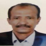 الحرب الناعمة على الجنوب : الأساليب والمخاطر وسبل المواجهة