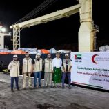 420 طناً من المساعدات تصل حضرموت بدعم إماراتي لتعزيز القطاعات الخدمية والصحية