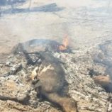 الأمم المتحدة: 40% من مواقع النازحين باليمن معرضة لخطر الحرائق والفيضانات