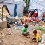 منظمات أممية تدق ناقوس الخطر.. انعدام الأمن الغذائي يتفاقم باليمن