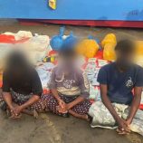 قوات الحملة الأمنية المشتركة تضبط قاربًا يحمل نصف طن حشيش قرب باب المندب