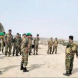 «ساحل أبين» تحت سيطرة الحزام الأمني.. خنق لخطوط الإرهاب والتهريب