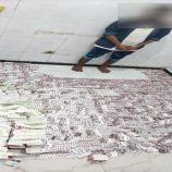 أمن العاصمة عدن يطيح بأكبر شبكة لترويج المخدرات