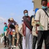 مفوضية شؤون اللاجئين: عودة ما يقارب 53 ألف لاجئ صومالي إلى بلادهم