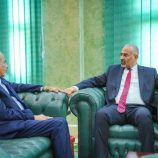 خلال لقاءه الفريق الصبيحي.. الرئيس الزُبيدي يبحث الأوضاع في محافظة المهرة في ضوء التطورات الأخيرة