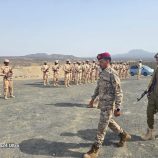 قائد الوية الدعم والاسناد العميد نصر اليافعي  يتفقد جاهزية اللواء الثاني دعم واسناد في محور ابين القتالي