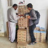 توجيهات بتكثيف الرقابة على الزبادي في مديرية عتق .. وإتلاف طن من المنتجات الفاسدة