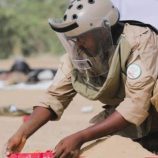 خلال 6 أشهر.. مسام ينتزع 26 ألف عبوة متفجرة زرعها مليشيات الحوثي