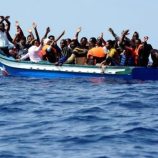 ضبط قاربًا يحمل 150 مهاجرًا غير شرعي قبالة سواحل شبوة