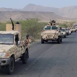 القوات المسلحة الجنوبية تدفع بتعزيزات عسكرية إلى جبهة ثرة بمحافظة أبين