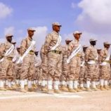 مصدر بالتحالف العربي: لا صحة لإلغاء حوافز النخبة الحضرمية أو استبدالها بزيادة راتب