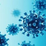 اكتشاف مركب يساعد في القضاء على الفيروسات المقاومة للأدوية