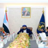 المحرمّي يشدد على ضرورة التوازن والاعتدال في تنفيذ الإجراءات الإصلاحية