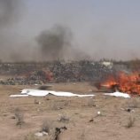 ضبط وإتلاف 5000 كرتون كيك بسبب خلل في التصنيع في عدن