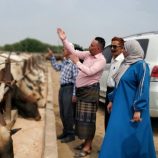 نيابة الصناعة بعدن تتلف ٤٨٥ كيس دقيق فاسد بتحويله إلى أعلاف للمواشي