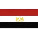 مصر تحذر من التصريحات الإسرائيلية بامكانية استخدام السلاح النووي في غزة