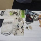 القبض على متهمين بترويج مخدر الحشيش بالمكلا