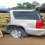 السعودية تُسقط 8 محاولات تهريب 829 كيلو قات من اليمن وتقبض على مهربين