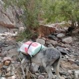 اهالي منطقة العقلة في ردفان يناشدون قيادة المحافظة وقيادة الانتقالي إنقاذهم وفتح الطريق التي جرفتها السيول