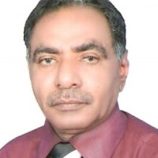 فضيحة مجلس القضاء الأعلى في اليمن