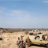 القوات المسلحة الجنوبية تواصل دك أوكار تنظيم القاعدة الإرهابي في أبين